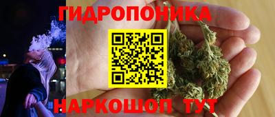 гидра Кинель