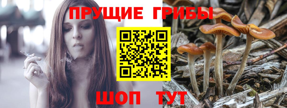 Галлюциногенные грибы ЛСД  где продают наркотики  Кыштым  Вход с VPN 